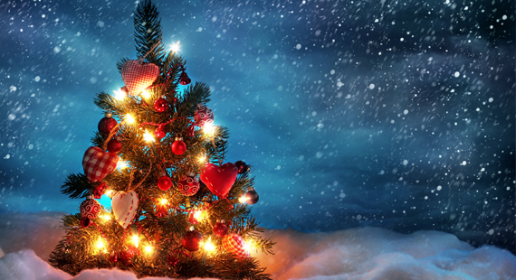 Le Raj Christmas